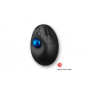 Kensington Pro Fit® Ergo TB450 Trackball pallohiiri  sininen | Toimistotukku Talka Oy