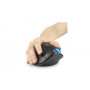 Kensington Pro Fit® Ergo TB450 Trackball pallohiiri  sininen | Toimistotukku Talka Oy