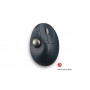 Kensington Pro Fit® Ergo TB550 Trackball pallohiiri musta | Toimistotukku Talka Oy