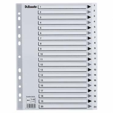 Esselte kartonkirekisteri 1-20 A4 valkoinen | Toimistotukku Talka Oy