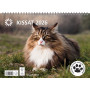 Kissat | Toimistotukku Talka Oy