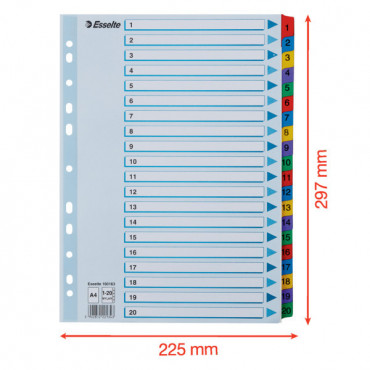 Esselte kartonkirekisteri Mylar 1-20 | Toimistotukku Talka Oy