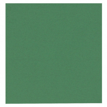 Abena GASTRO-LINE lautasliina vihreä 24x24 2krs ¼-taitto 100kpl | Toimistotukku Talka Oy