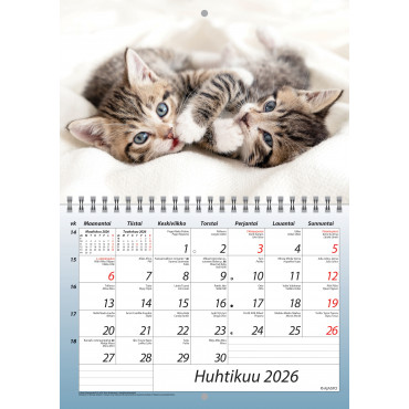 Kisut A5 | Toimistotukku Talka Oy