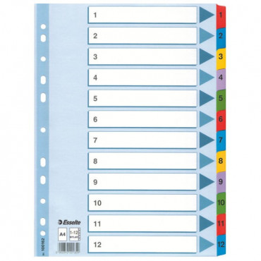 Esselte kartonkirekisteri Mylar 1-12 | Toimistotukku Talka Oy